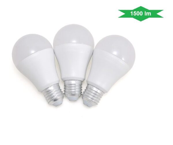 Set 3 lampade a LED luce calda A60 - E27 - 14W