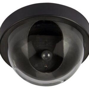 Falsa telecamera Dome con LED