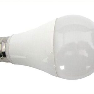 Lampada LED 10 watt - bianco caldo - E27