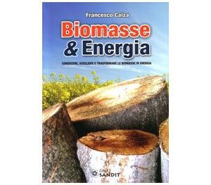 Libro "Biomasse & Energia"